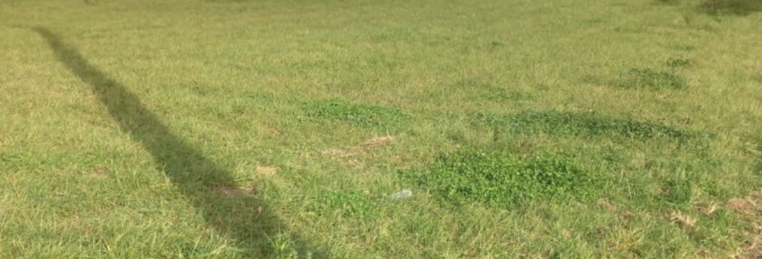 Terrain  2000 m² à vendre à Val-des-Marais (51130)