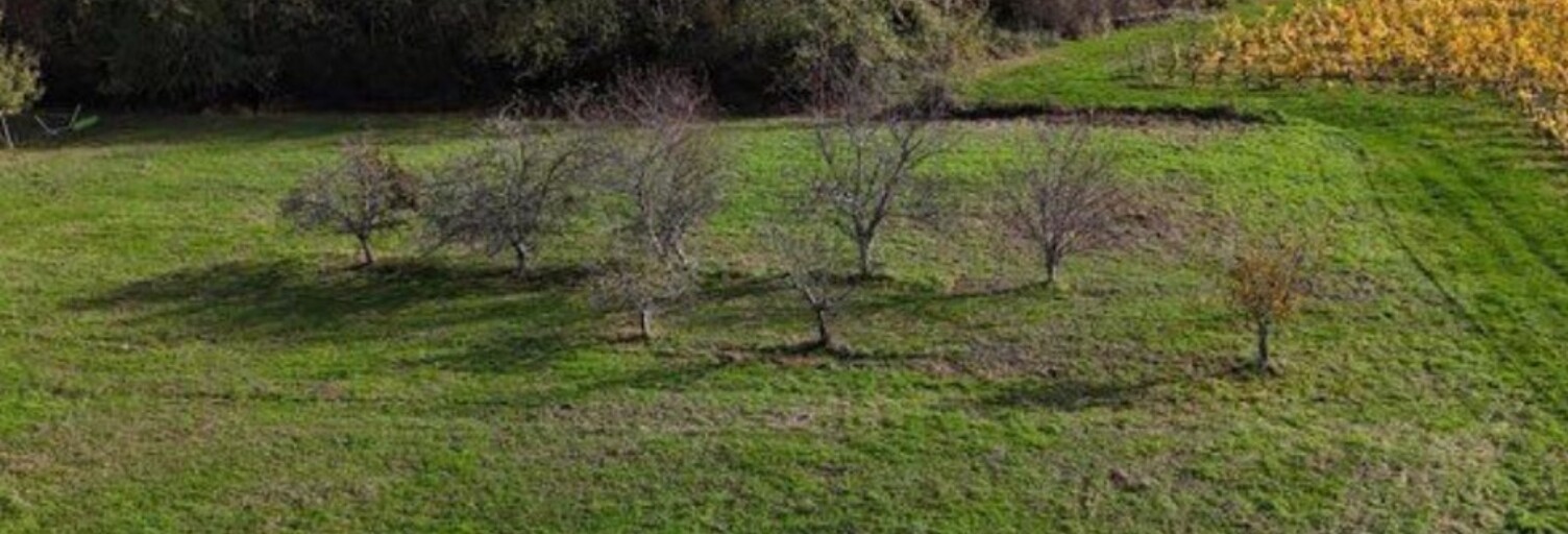 Terrain  925 m² à vendre à Capian (33550)