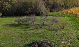 Terrain  925 m² à vendre à Langoiran (33550)