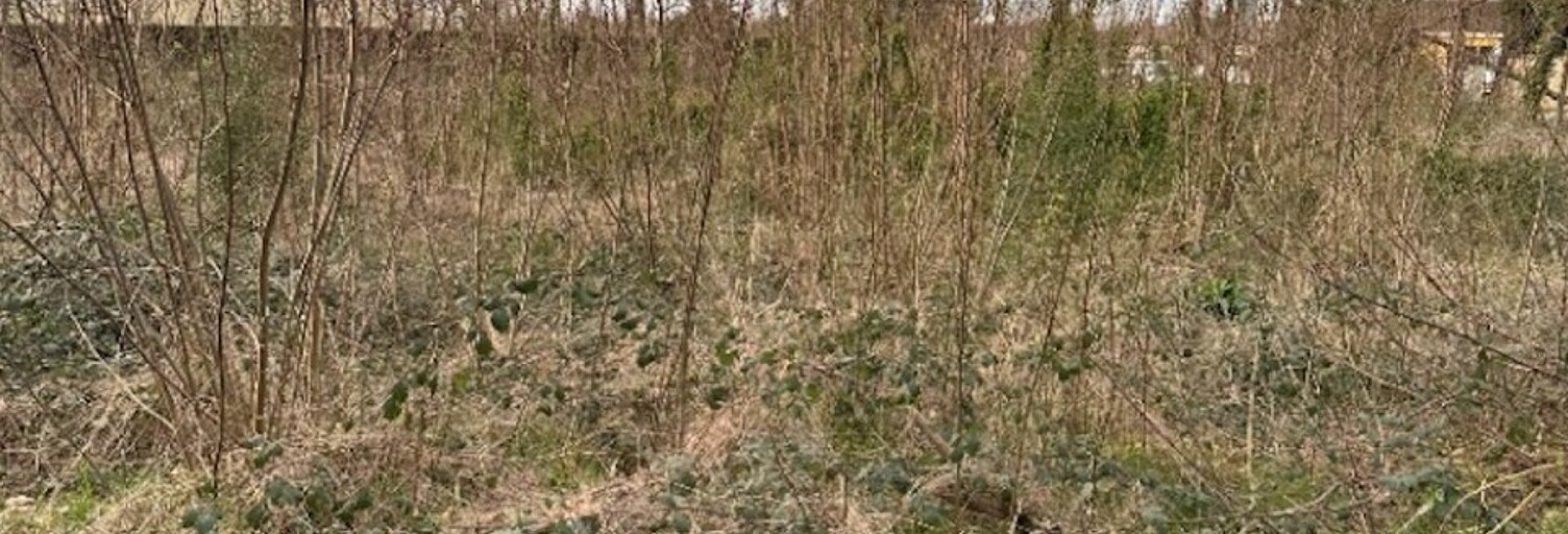 Terrain  1200 m² à vendre à Saint-Denis-de-Pile (33910)