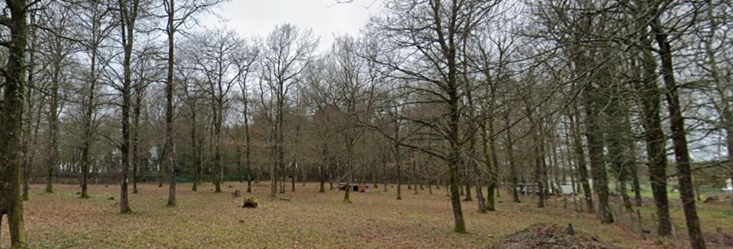 Terrain  312 m² à vendre à Médis (17600)