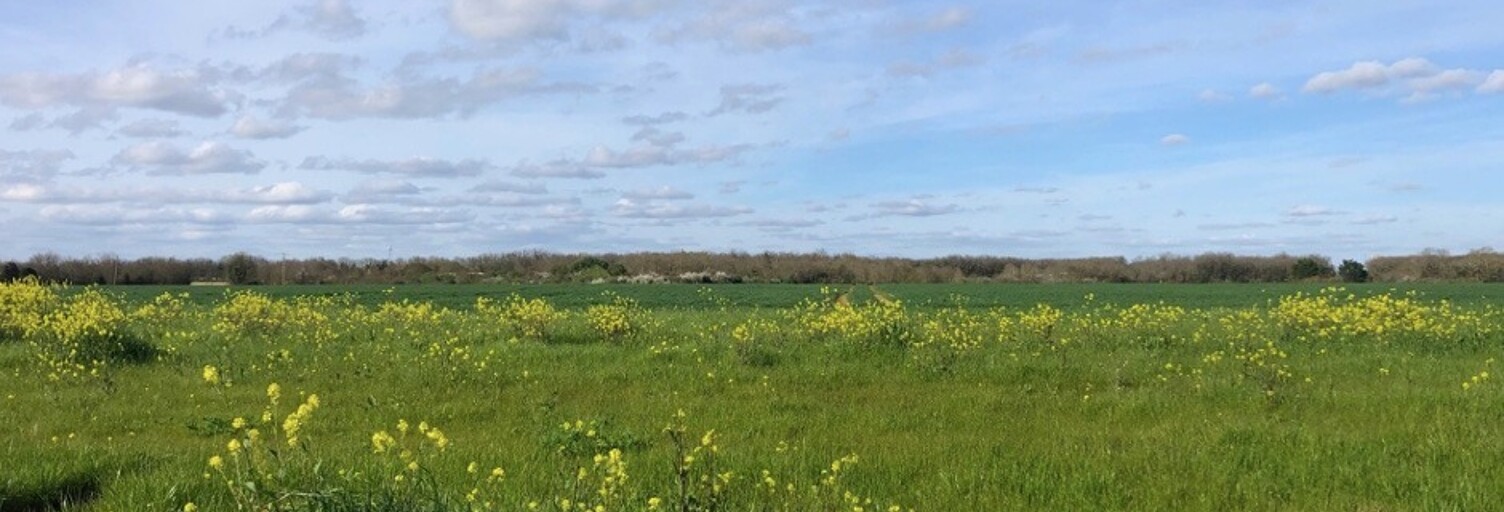 Terrain  419 m² à vendre à Bourgneuf (17220)