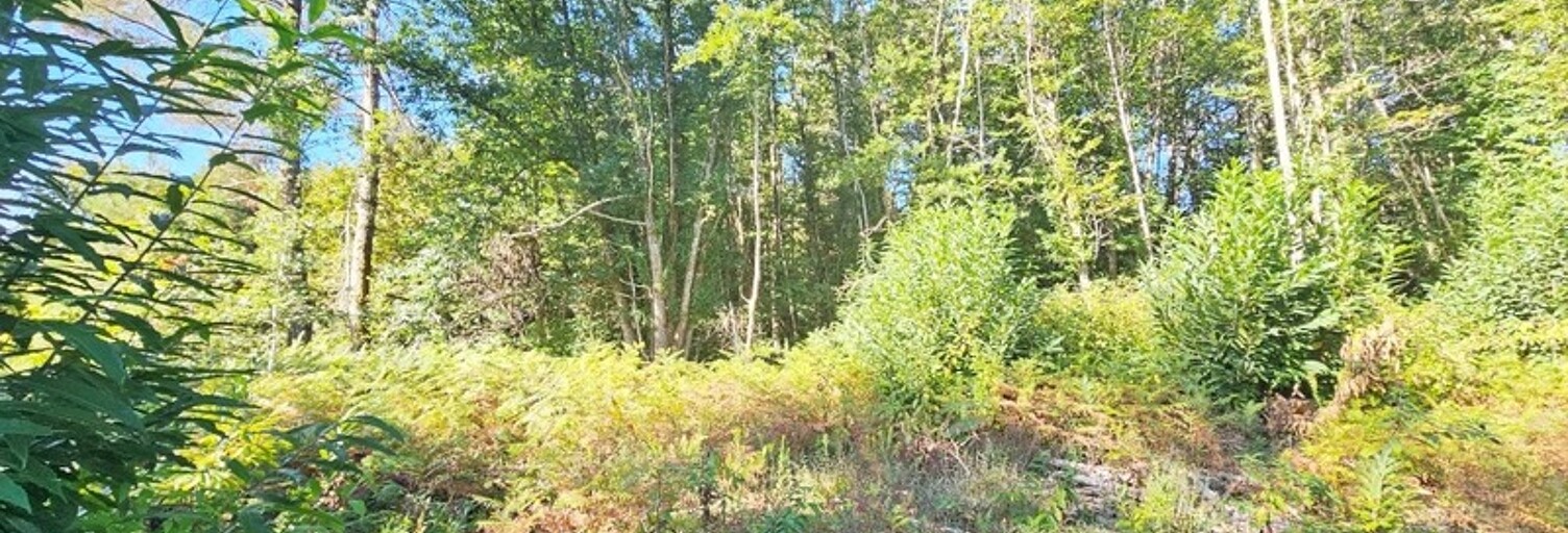 Terrain  10139 m² à vendre à Carsac-Aillac (24200)