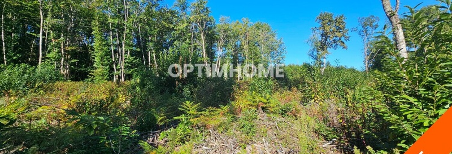 Terrain  10139 m² à vendre à Carsac-Aillac (24200)