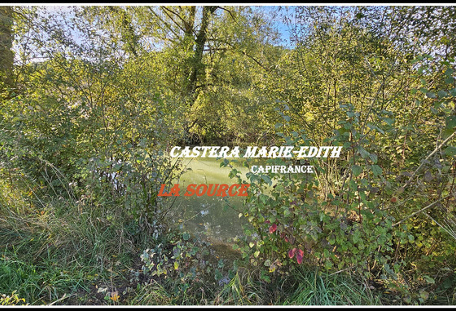 Terrain  2514 m² avec source et plan d'eau 10MN d'Auch  PESSAN (32) — photo 1