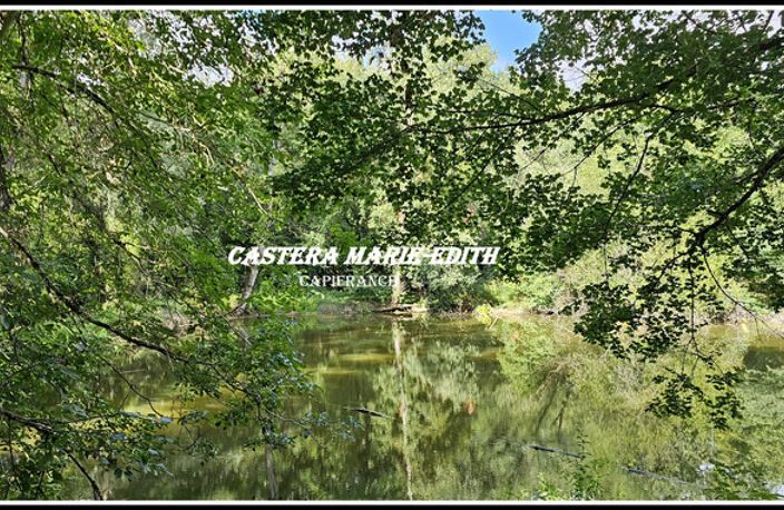 Terrain  2514 m² avec source et plan d'eau 10MN d'Auch  PESSAN (32) — photo 2
