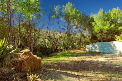 Terrain  230000 €