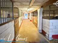 Ferme équestre — photo 4
