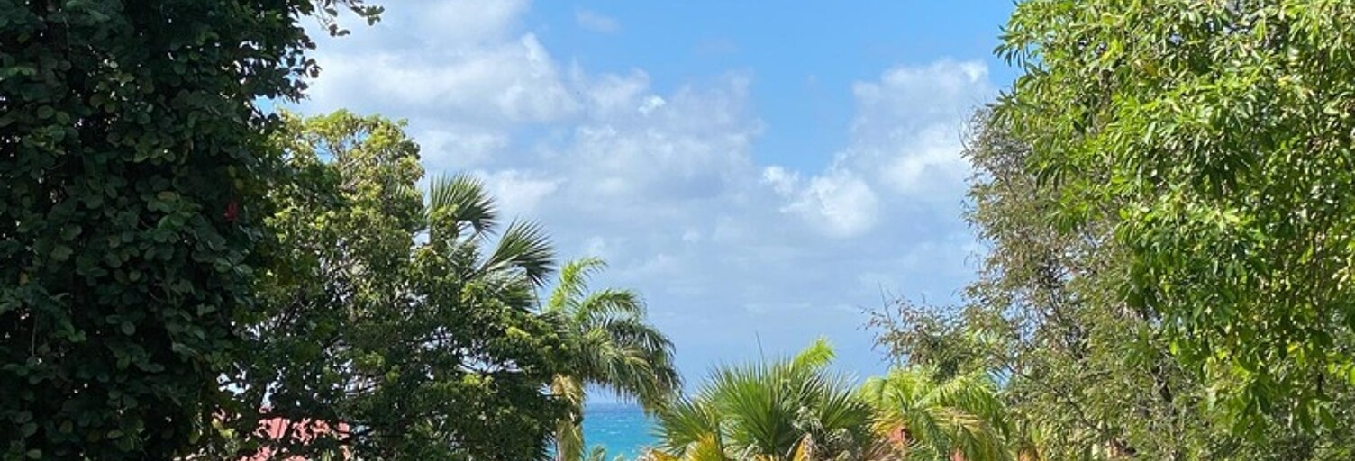 Appartement 2 Pièces 44 m² à vendre à Sainte-Anne (97180)