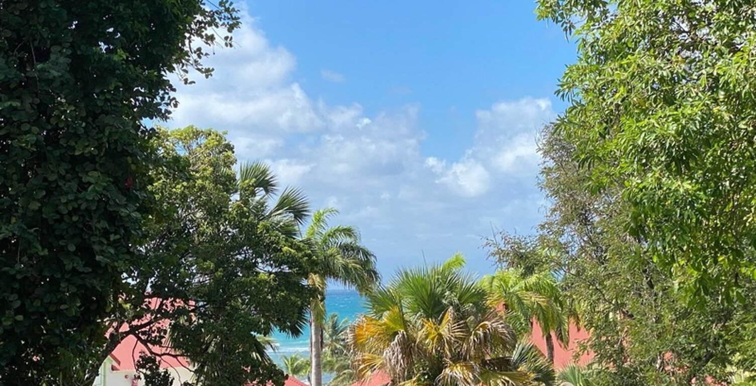 A VENDRE - ENSEMBLE RARE DE 2 STUDIOS COMMUNICANTS – BORD DE MER SAINTE ANNE — photo 1
