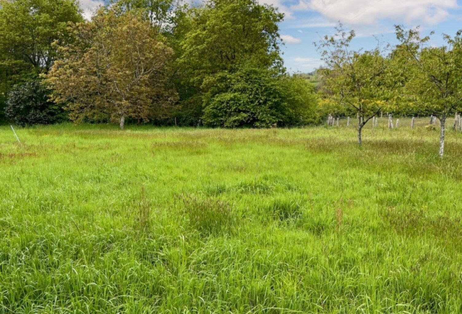 Dpt Sarthe (72), à vendre LE MANS terrain Bâtissable VIABILISÉ 713 M2 — photo 1