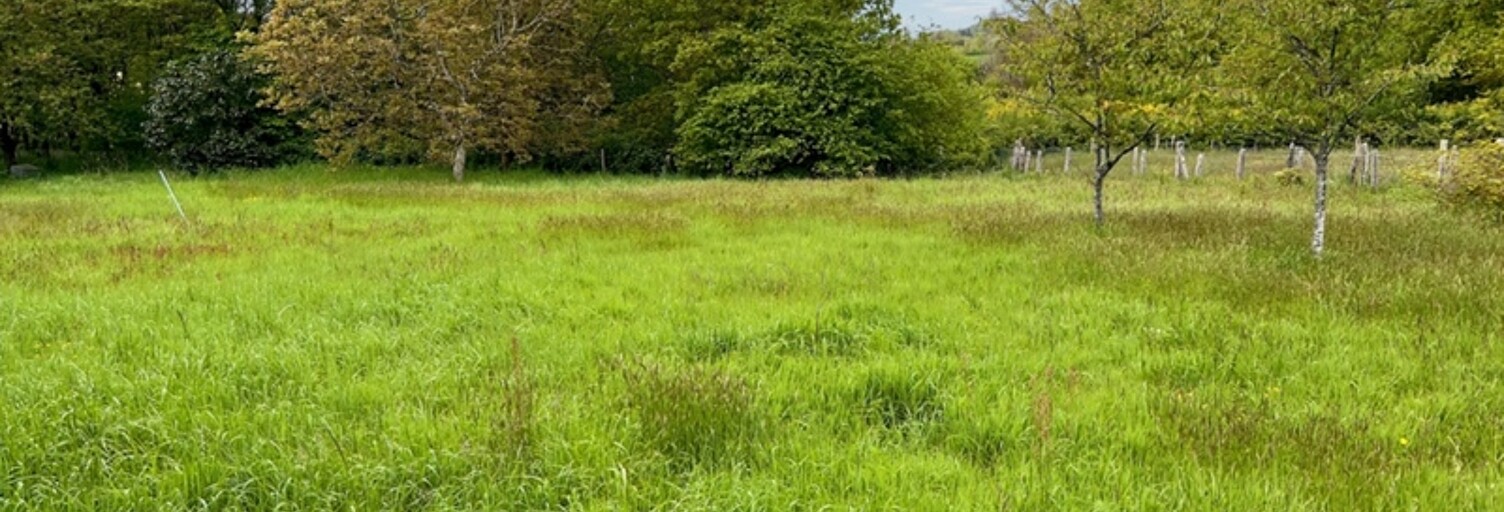 Terrain  713 m² à vendre à Yvré-l'Évêque (72530)