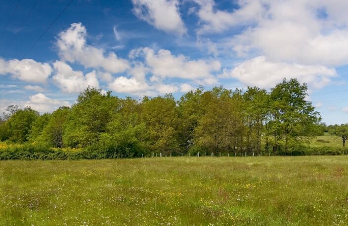 Dpt Sarthe (72), à vendre LE MANS terrain Bâtissable VIABILISÉ 713 M2 — photo 2