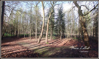 Maison 12 Pièces 343 m² à vendre à Pithiviers (45300)