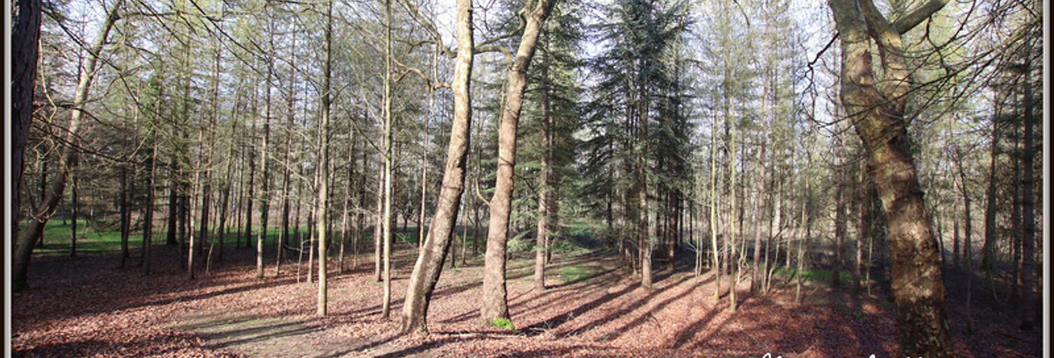 Maison 12 Pièces 343 m² à vendre à Pithiviers (45300)