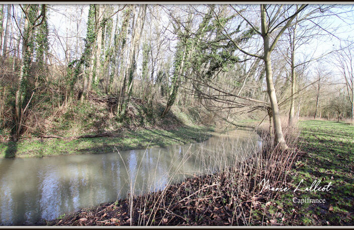 Maison à vendre 12 pièces, Grand séjour, 6 chambres, Terrain de Tennis, Bois, Cours d'eau — photo 3
