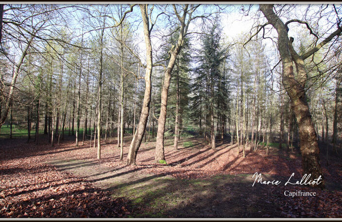 Maison à vendre 12 pièces, Grand séjour, 6 chambres, Terrain de Tennis, Bois, Cours d'eau — photo 4