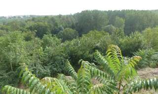 Maison 4 Pièces 122 m² à vendre à Availles-Thouarsais (79600)