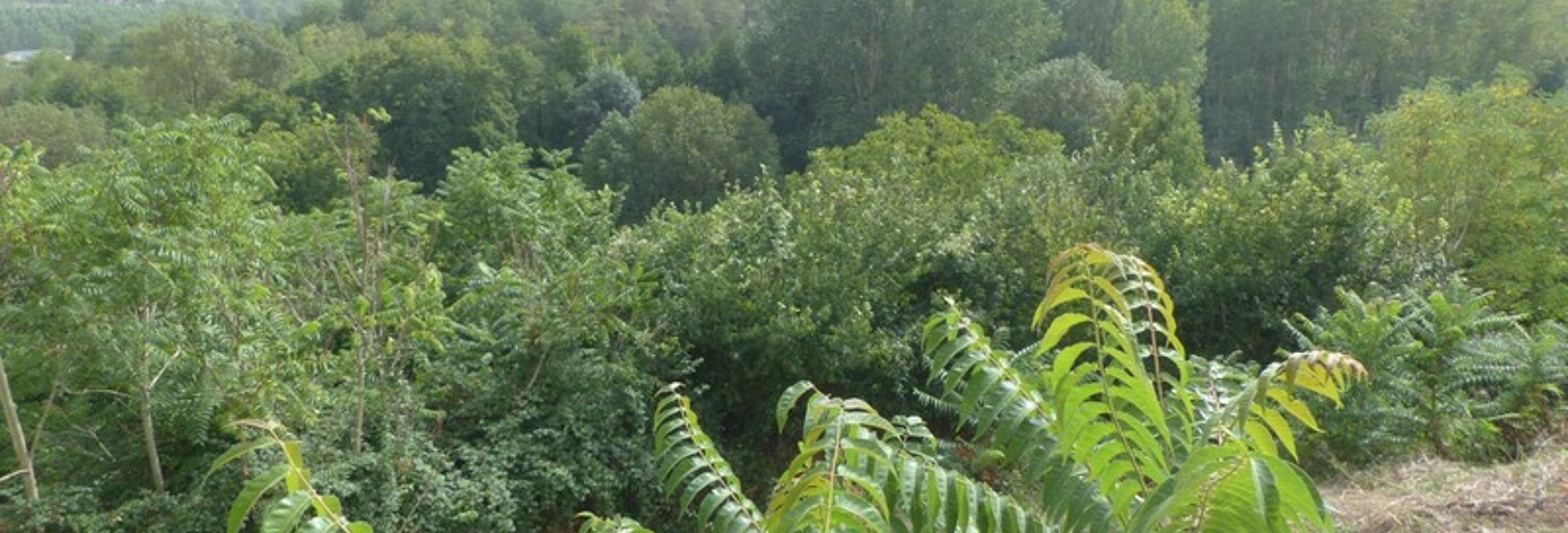 Maison 4 Pièces 122 m² à vendre à Availles-Thouarsais (79600)