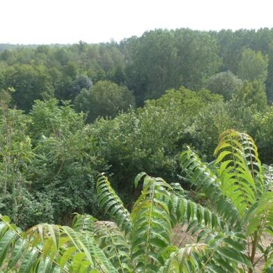 Maison 4 pièces 60000 €