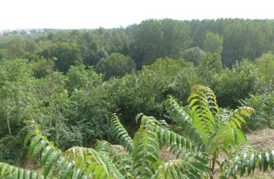 Dpt Deux Sèvres (79), à vendre AVAILLES THOUARSAIS maison P4 — photo du bien