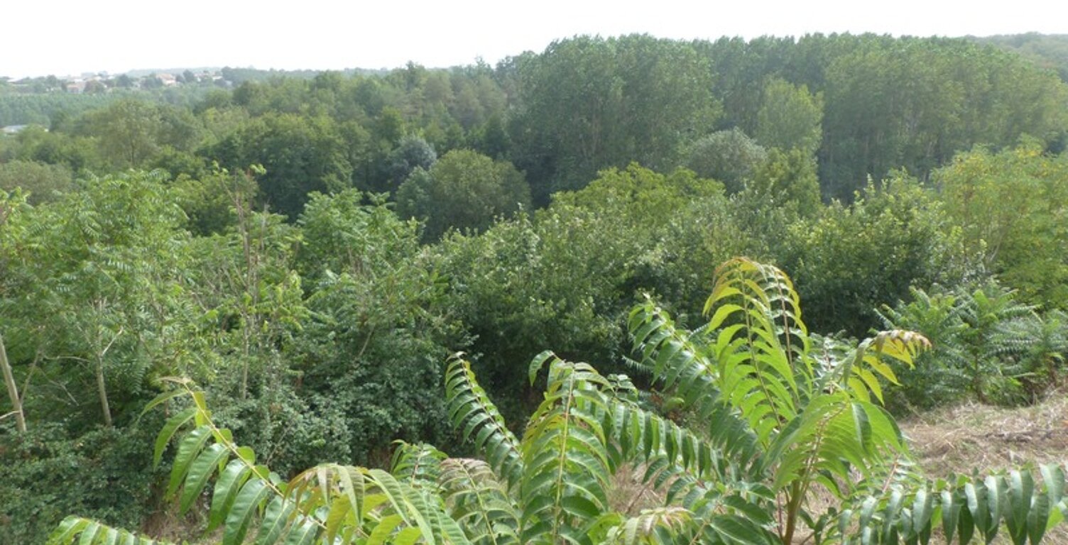 Dpt Deux Sèvres (79), à vendre AVAILLES THOUARSAIS maison P4 — photo 1