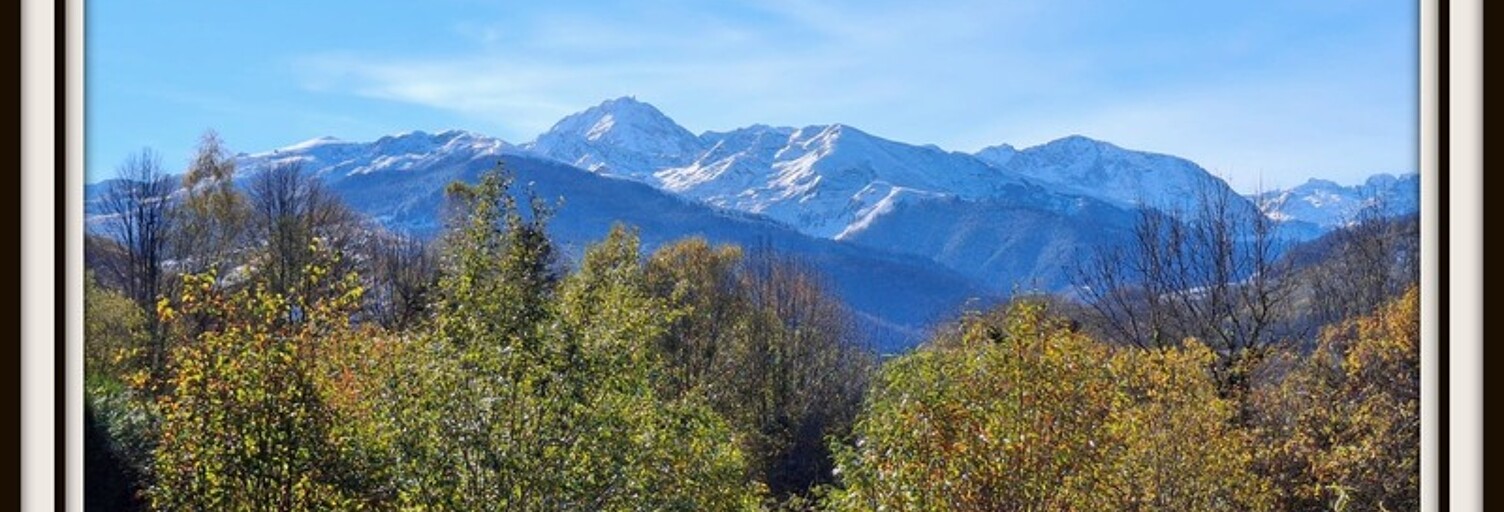 Maison 7 Pièces 172 m² à vendre à Asté (65200)