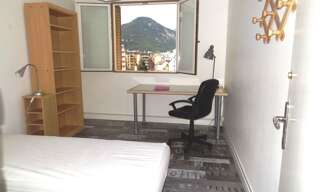 Appartement 1 Pièce 11 m² à louer à Grenoble (38000)