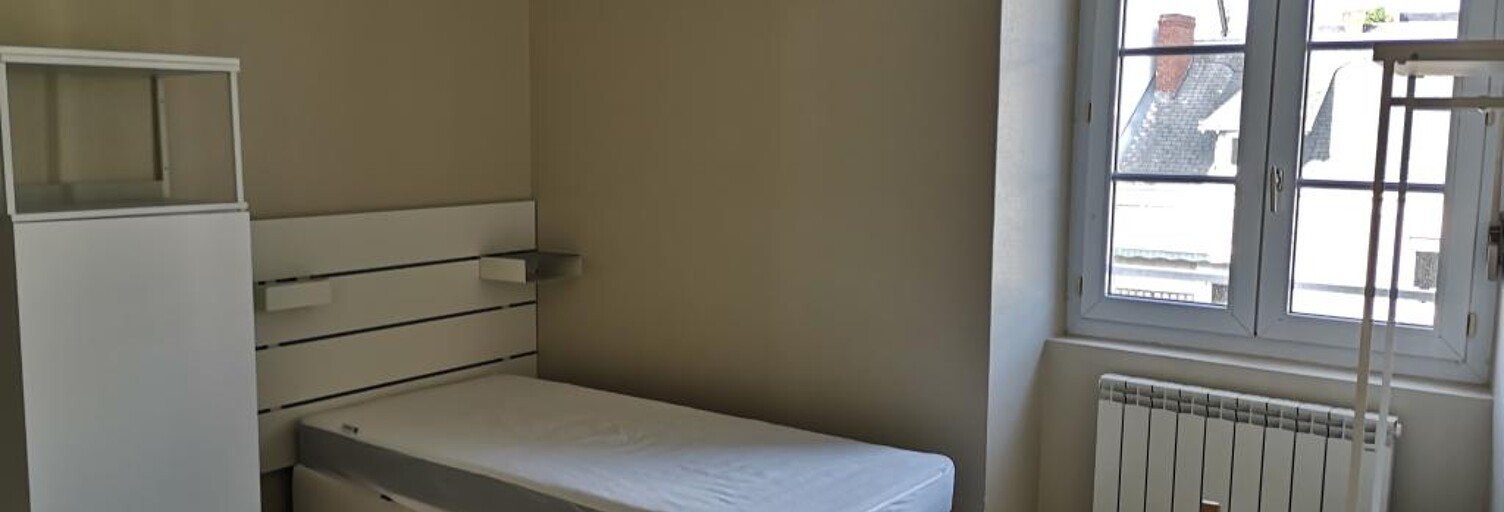 Appartement 1 Pièce 20 m² à louer à Angers (49000)