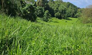 Terrain  915 m² à vendre à Les Abymes (97139)