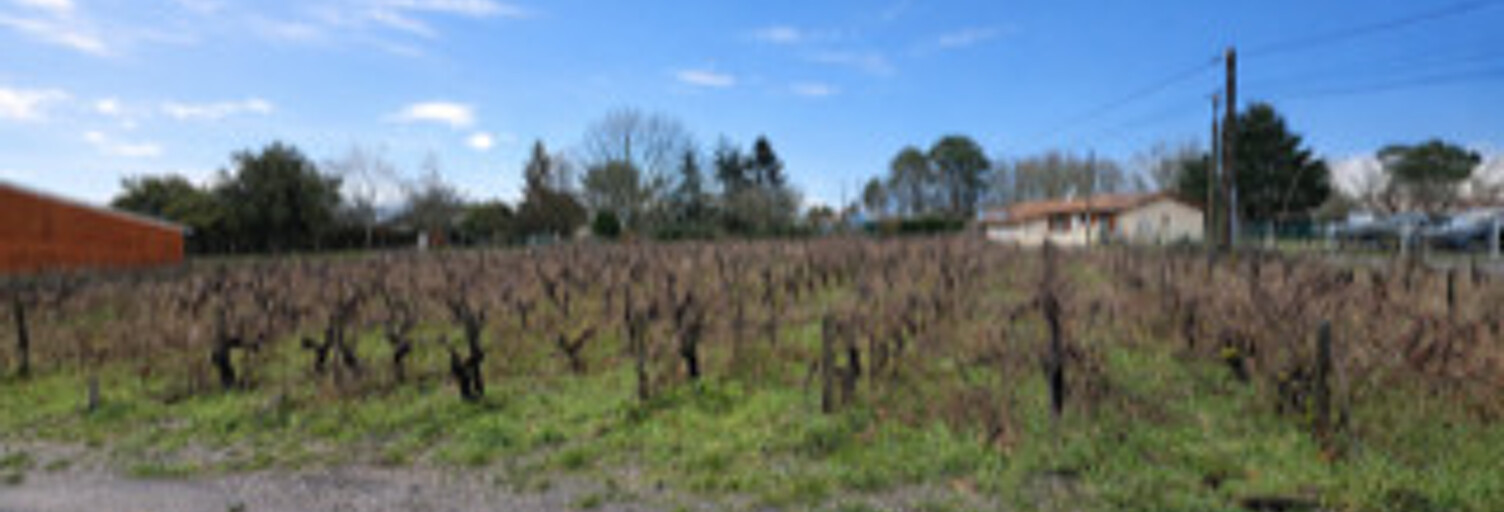 Terrain 500 m² à construire Listrac-Médoc (33480)