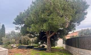 Terrain  850 m² à vendre à Marseillan (34340)