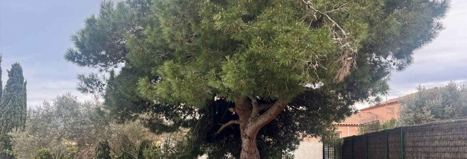 Terrain  850 m² à vendre à Marseillan (34340)