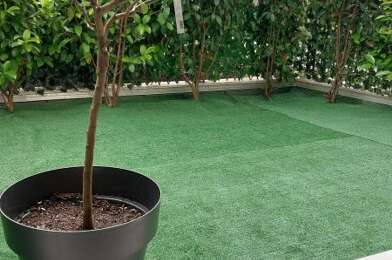 Appartement 2 pièces 249500 €