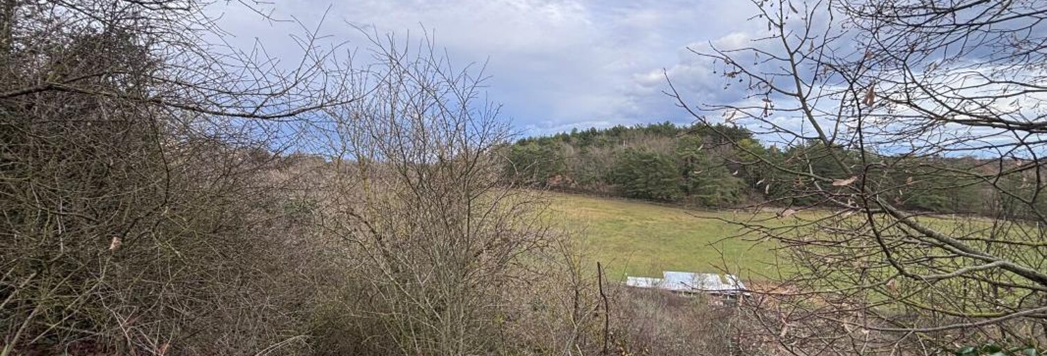 Terrain  7439 m² à vendre à Montamisé (86360)