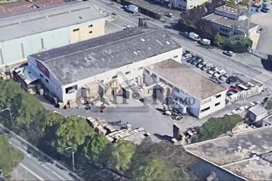 Local industriel  2600000 €