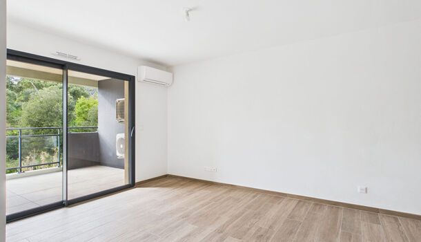 Appartement 3 pièces  à louer Bastia 20200