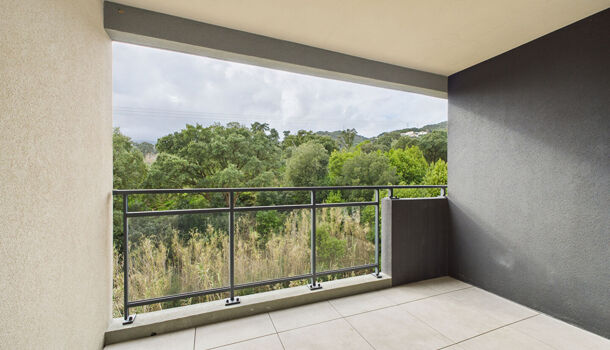 Appartement 3 pièces  à louer Bastia 20200