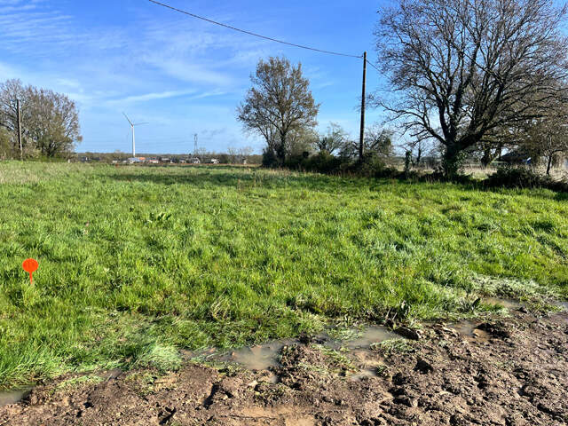 NOUVEAU LOTISSEMENT Terrain Viabilisé Proche bourg de LIGNE Libre de constructeur — photo du bien