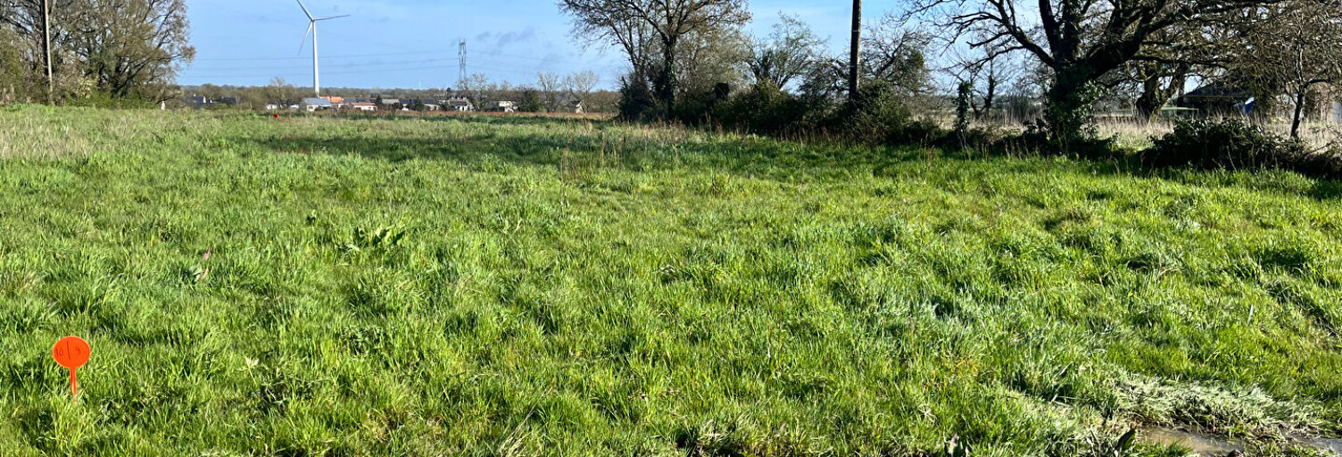 Terrain  671 m² à vendre à Ligné (44850)