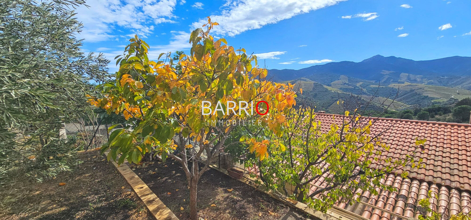 Villa / Maison  T5 à vendre Banyuls-sur-Mer 66650