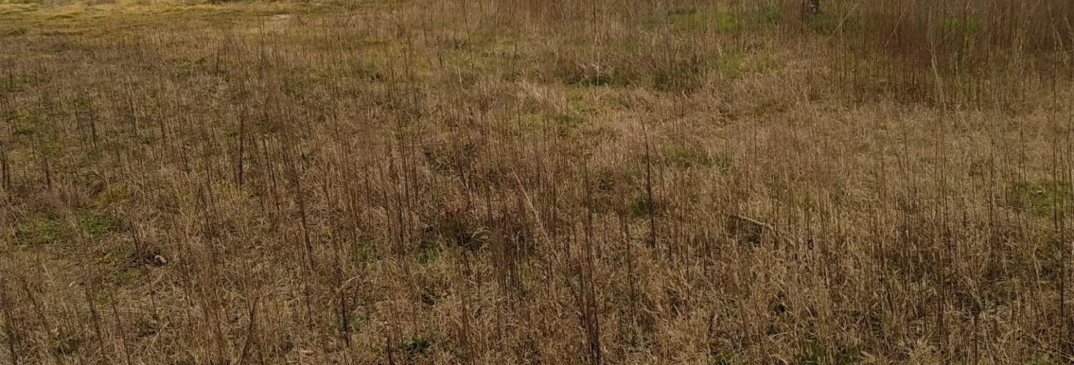 Terrain  922 m² à vendre à Saint-Georges-de-Reneins (69830)