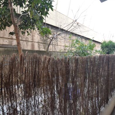 Appartement 3 pièces 1036 €