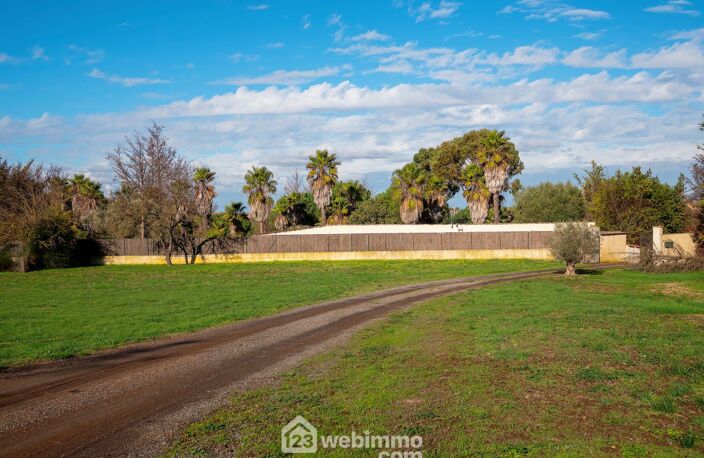 Terrain à bâtir - 2000m² - Agde — photo 4