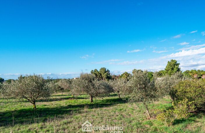 Terrain à bâtir - 2000m² - Agde — photo 5