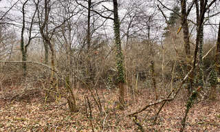 Terrain  1126 m² à vendre à Aubigny-sur-Nère (18700)