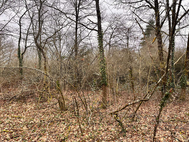 Terrain à bâtir de 1126 m². — photo du bien