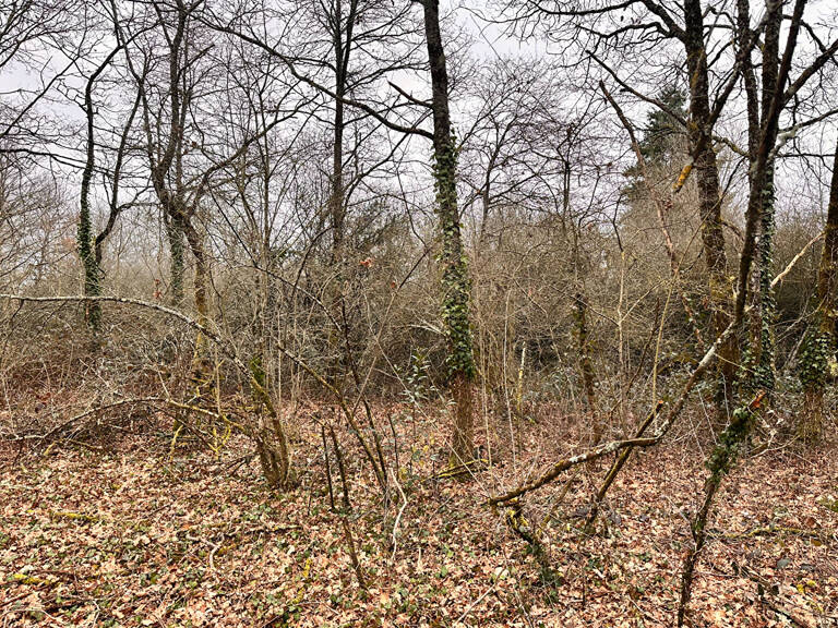 Terrain à bâtir de 1126 m². — photo 1