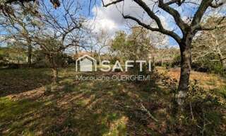 Terrain  1150 m² à vendre à Lanton (33138)