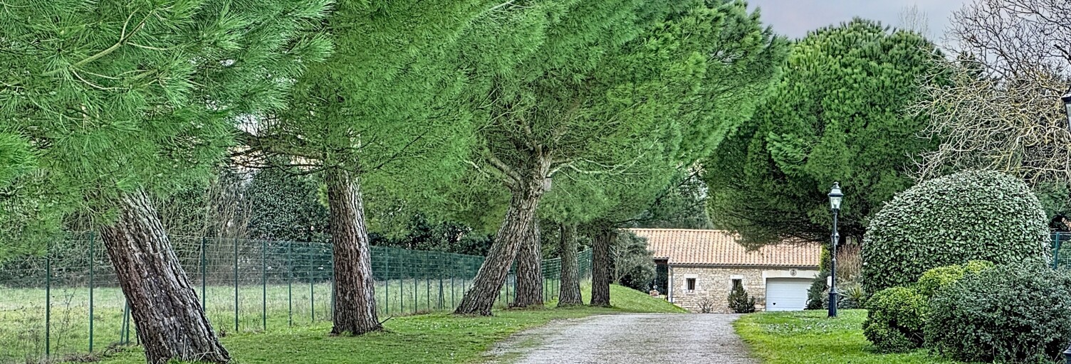 Maison 8 Pièces 219 m² à vendre à Le Gué-de-Velluire (85770)